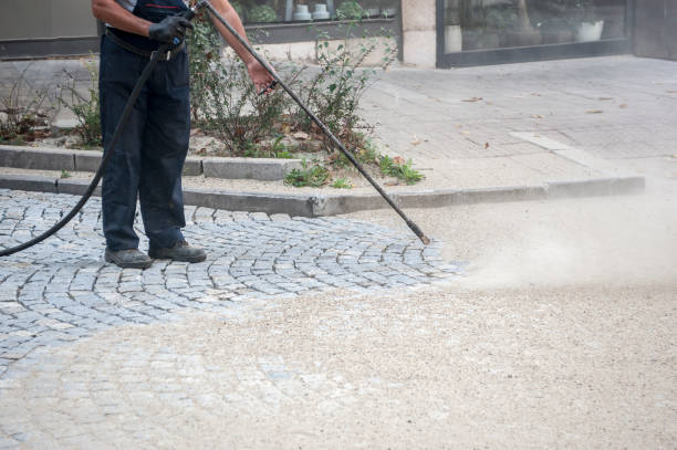 Best Fence Cleaning  in Milton, FL